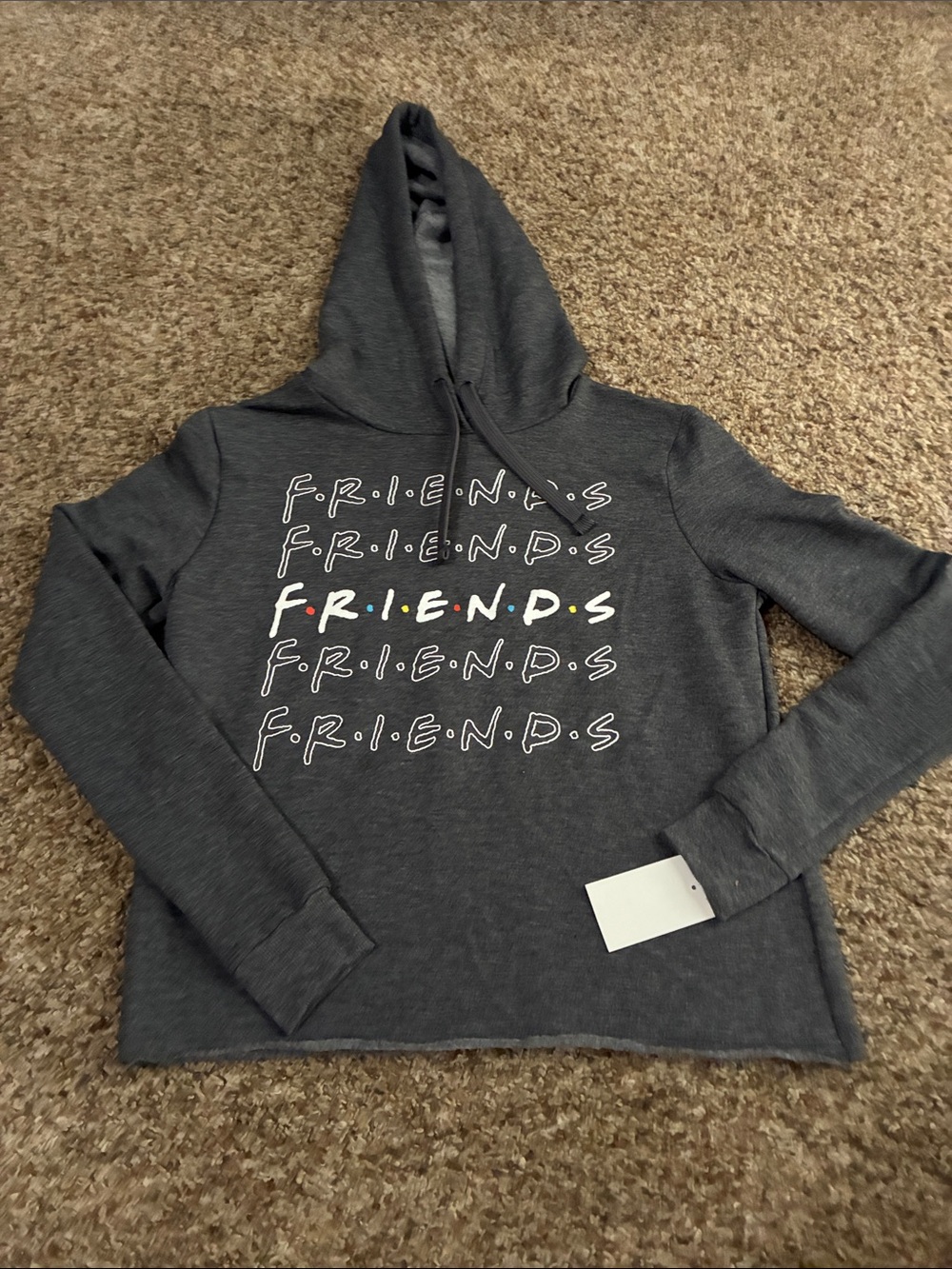 FRIENDS Cropped Charcoal Gray Hoodie Sweatshirt Monica Rachel Chandler Joey NEW
